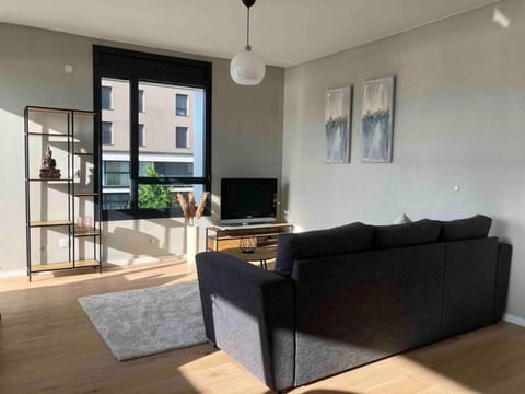 Basel-Tram 8-Tristate-Bridge-Riverview Apartment in Weil am Rhein