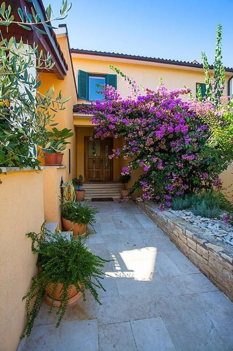 Property building, Garden view