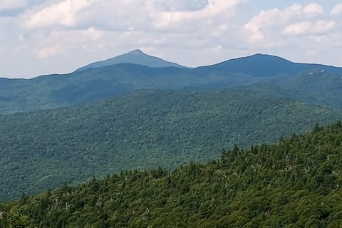 South Village #8 House in Warren