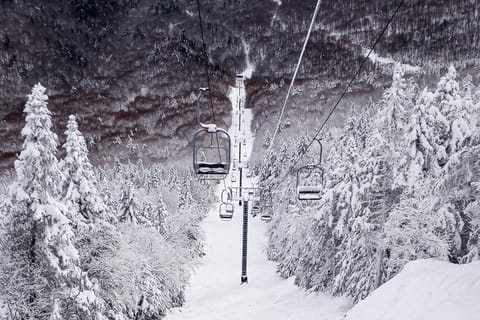 South Village #8 House in Warren