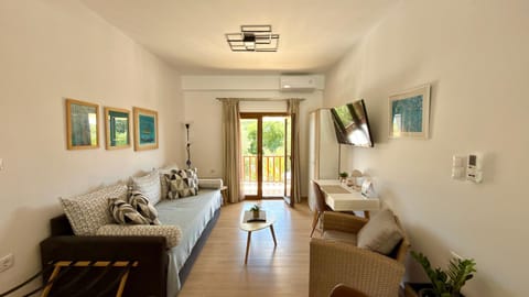TV and multimedia, Living room, Seating area, air conditioner