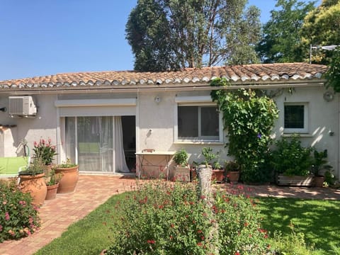 Property building, Garden view