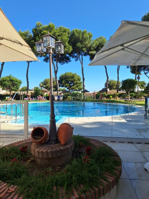 Pool view, Swimming pool