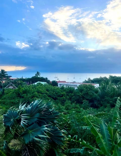 Sublime studio vue sur mer Apartment in Les Abymes