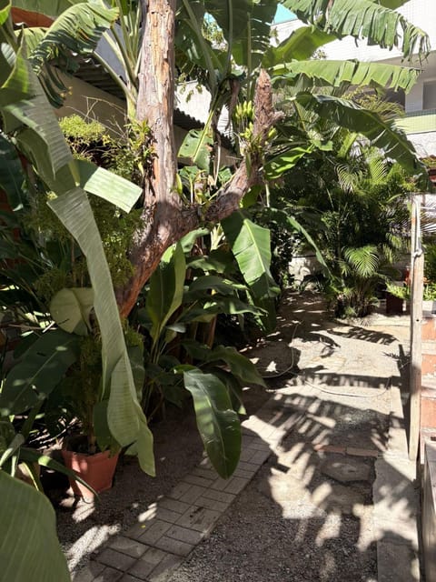 Garden, View (from property/room)