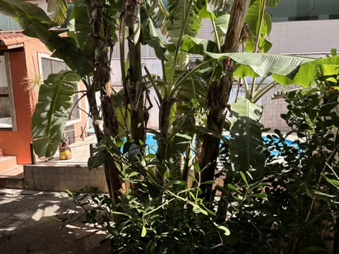 Garden, Garden view, Pool view, Inner courtyard view