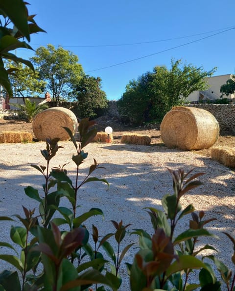 Il trullo della nonna House in Martina Franca