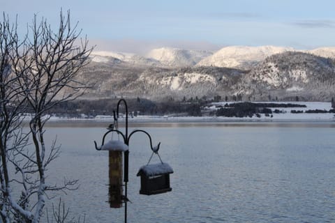 Property view