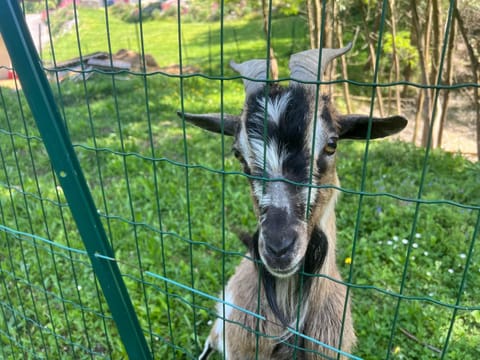 Le Creux de Murmures, Lyon Nature lodge in Bourgoin-Jallieu