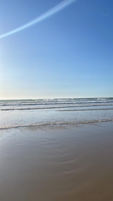 Day, Natural landscape, Beach