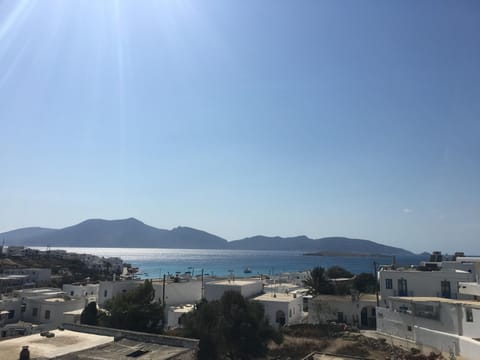 Day, Summer, On site