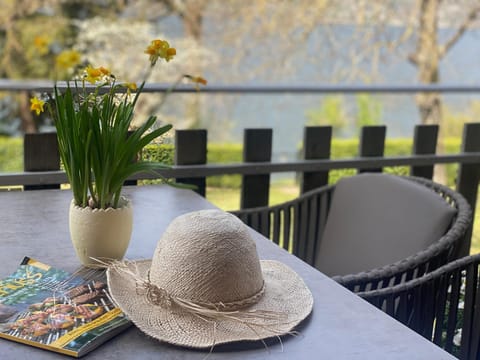 Balcony/Terrace, Lake view