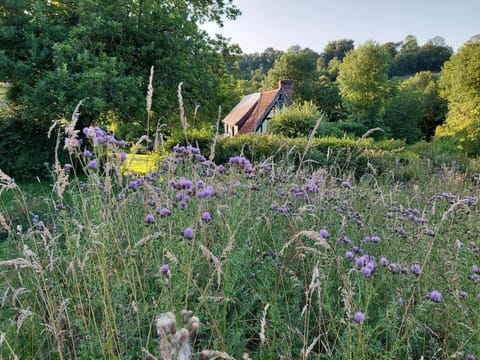 Day, Natural landscape, Garden, Garden view