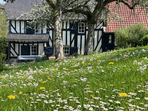 Property building, Garden view