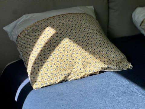 Seine Riverside Getaway Ideal for Families near Paris Villa in Poissy