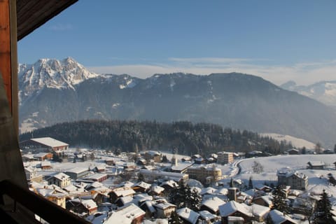 Les Frênes Apartment in Haute-Savoie