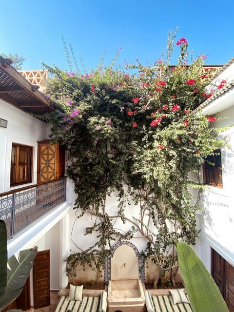 Property building, Patio, Spring, Day, Garden, View (from property/room), Balcony/Terrace