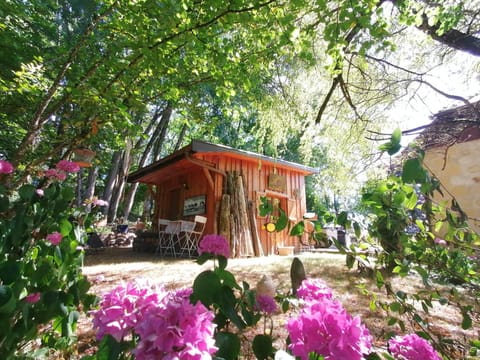 Cabane en forêt Apartment in Haute-Savoie