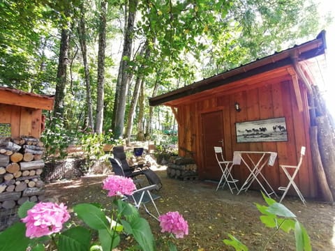 Cabane en forêt Apartment in Haute-Savoie