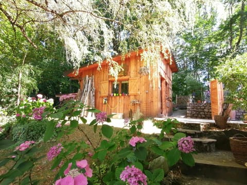 Cabane en forêt Apartment in Haute-Savoie