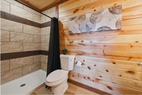 Splash Mountain Lodge cabin Cabin in Sevierville