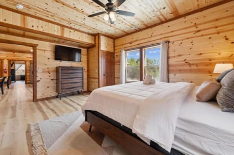 Splash Mountain Lodge cabin Cabin in Sevierville