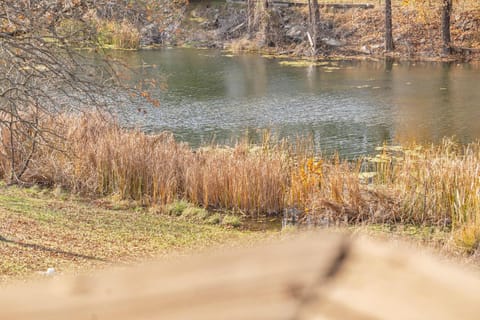 Fall Creek Loft House in Branson