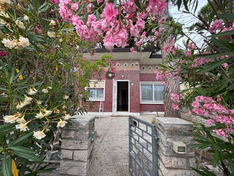 Property building, Spring, Day, Garden, Beach, Garden view