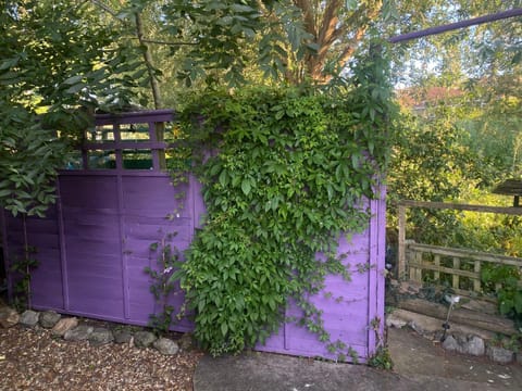 Avalon Retreat Cabin Cabin in Glastonbury