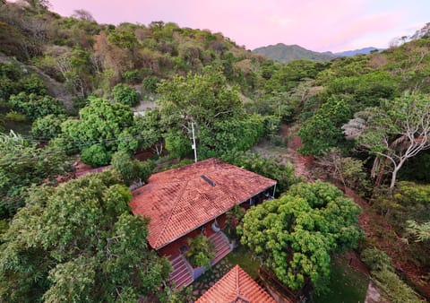 Off site, Bird's eye view, Garden, Mountain view