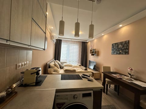 Kitchen or kitchenette, Living room
