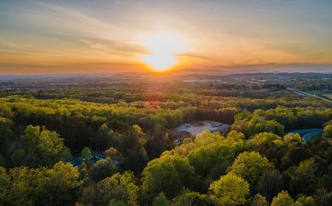 Iris Inn and Cabins Cabin in Waynesboro