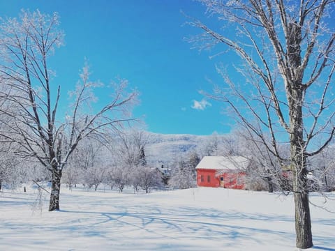 The Oliver Rice House Rice House House in Manchester Center