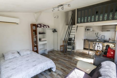 Bed, Kitchen or kitchenette, Living room, Photo of the whole room, Seating area, Dining area, Bedroom, air conditioner