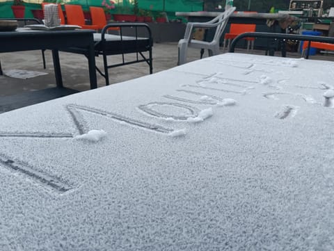 Palm -1 Villa in Jaipur