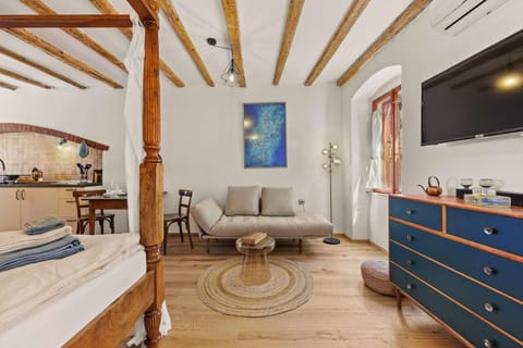 Bed, TV and multimedia, Kitchen or kitchenette, Living room, Photo of the whole room, Seating area, Dining area, Bedroom