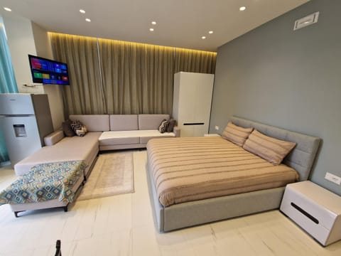 Bed, TV and multimedia, Living room, Photo of the whole room, Seating area, Evening entertainment, Bedroom, air conditioner