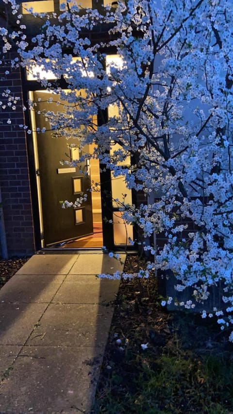 Spring, Night, Winter