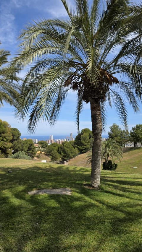 Garden, Garden view