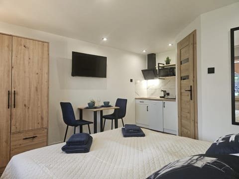 Bed, TV and multimedia, Kitchen or kitchenette, Photo of the whole room, Dining area, wardrobe