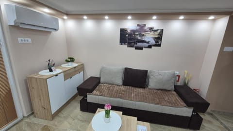 Apartmani Tiski Labud Apartment in Vojvodina