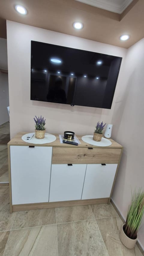 Apartmani Tiski Labud Apartment in Vojvodina