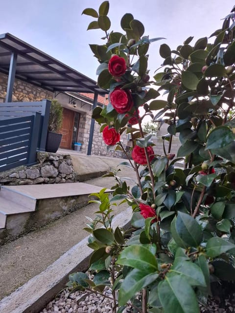 Gazdinstvo Prcović Villa in Dubrovnik-Neretva County