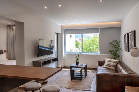 TV and multimedia, Living room, Photo of the whole room, Seating area, Evening entertainment