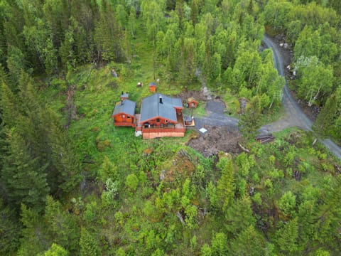 Property building, Bird's eye view
