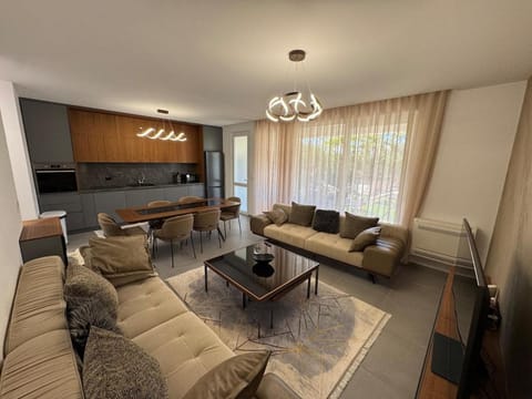 TV and multimedia, Kitchen or kitchenette, Living room, Seating area, Dining area, air conditioner