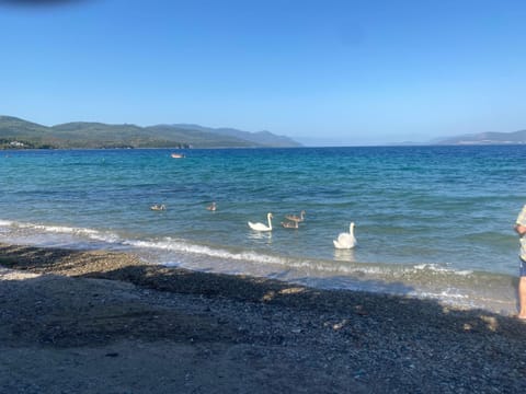 Rooms A Sinos Apartment in Euboea