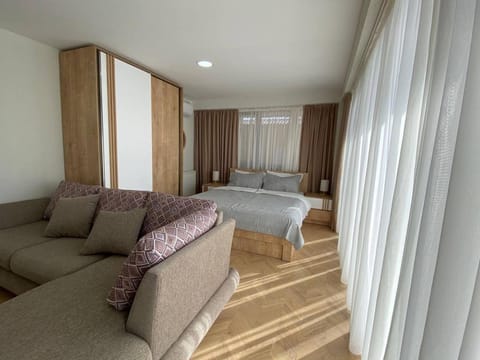 Bed, Living room, Photo of the whole room, Seating area, Bedroom