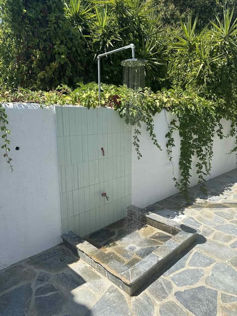 Day, Garden, Garden view