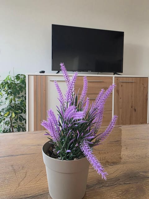 Apartman LAVANDA Apartment in Federation of Bosnia and Herzegovina